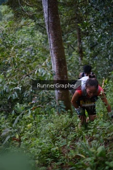 Runner Photo 97433