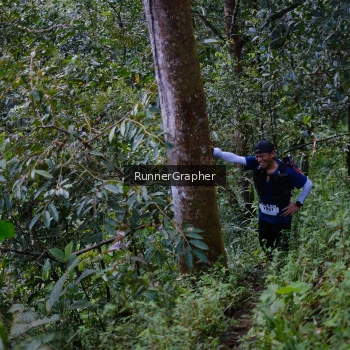 Runner Photo 97462
