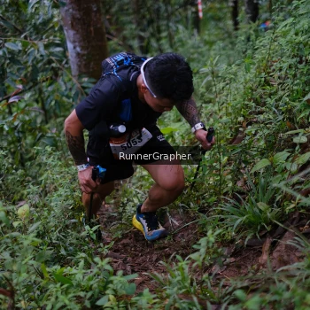 Runner Photo 97530