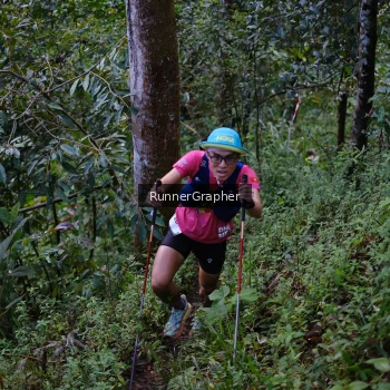 Runner Photo 97616