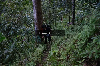 Runner Photo 97653