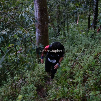 Runner Photo 97664
