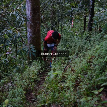 Runner Photo 97714