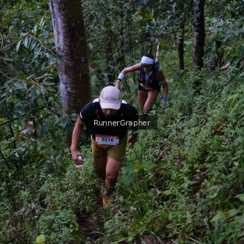 Runner Photo 97748