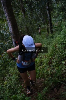 Runner Photo 97782