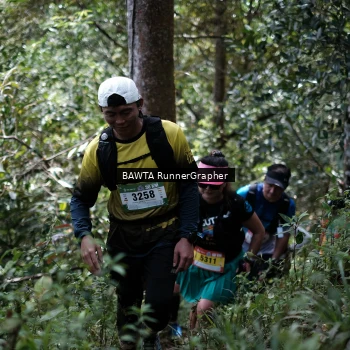 Runner Photo 97784
