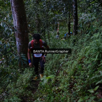 Runner Photo 97785