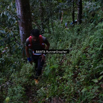 Runner Photo 97786