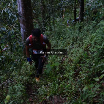 Runner Photo 97789