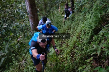 Runner Photo 97818