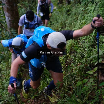 Runner Photo 97822