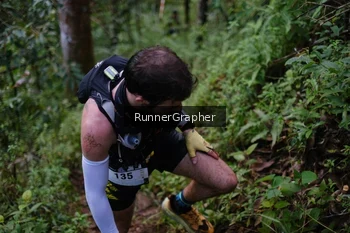 Runner Photo 97835