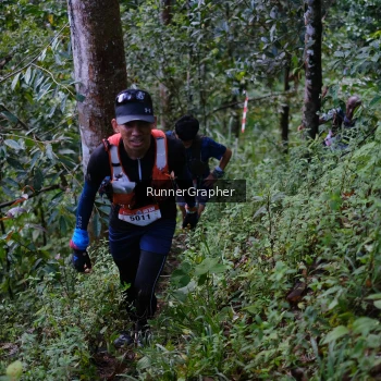 Runner Photo 97842