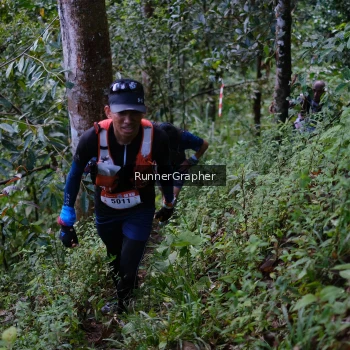 Runner Photo 97844