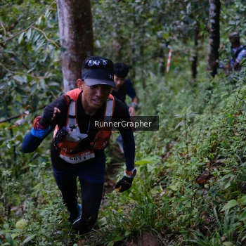 Runner Photo 97848