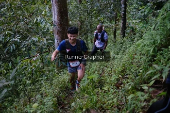 Runner Photo 97849