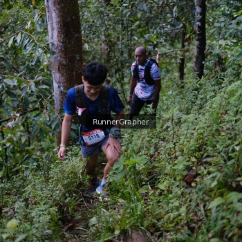 Runner Photo 97852