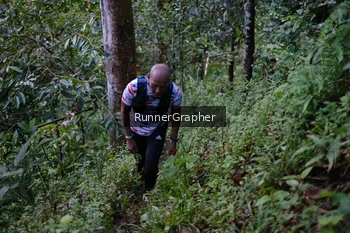 Runner Photo 97862