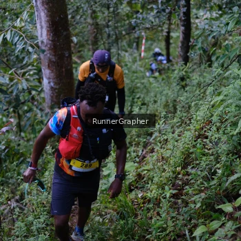 Runner Photo 97887