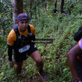Runner Photo 97891