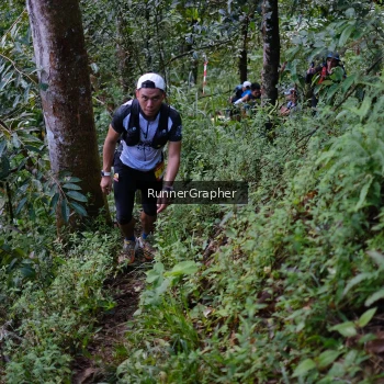 Runner Photo 97896
