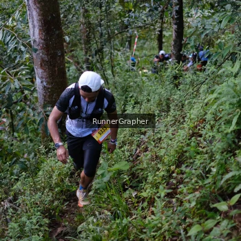 Runner Photo 97899