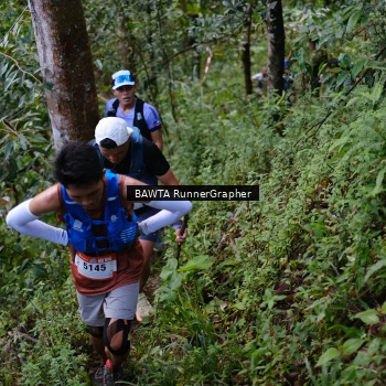 Runner Photo 97921