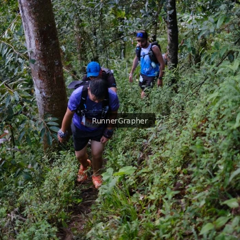 Runner Photo 97931