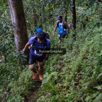 Runner Photo 97933