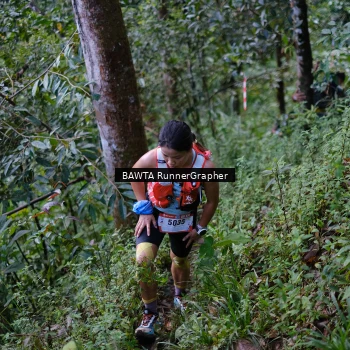 Runner Photo 97958