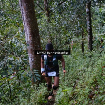 Runner Photo 97981