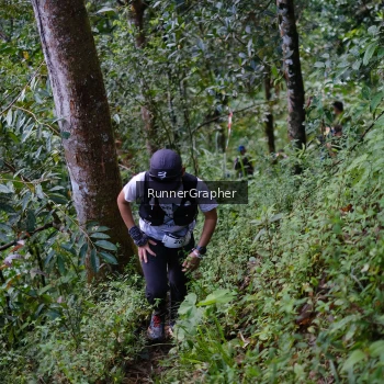 Runner Photo 98013