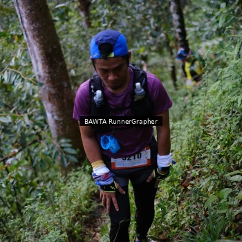 Runner Photo 98045