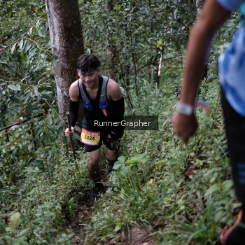 Runner Photo 98078