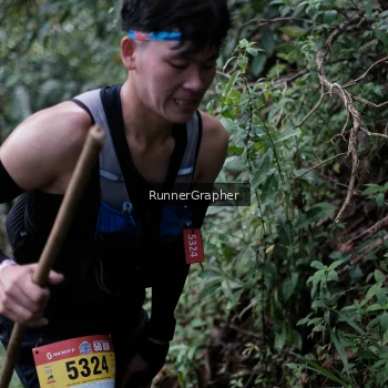 Runner Photo 98085