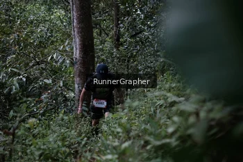 Runner Photo 98135