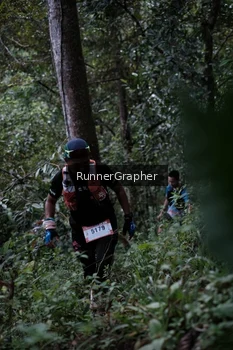 Runner Photo 98160