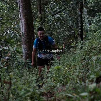 Runner Photo 98177
