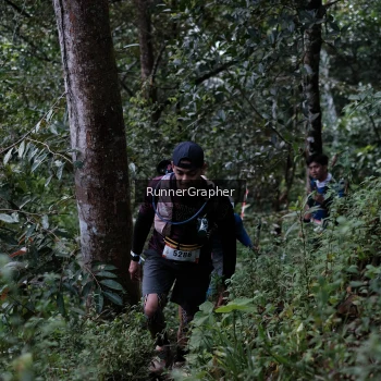 Runner Photo 98282