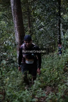 Runner Photo 98288