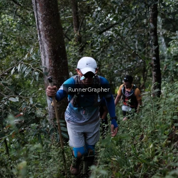 Runner Photo 98300