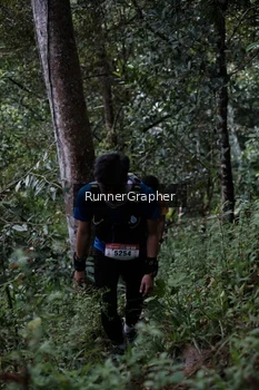 Runner Photo 98313