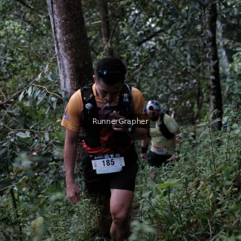 Runner Photo 98319