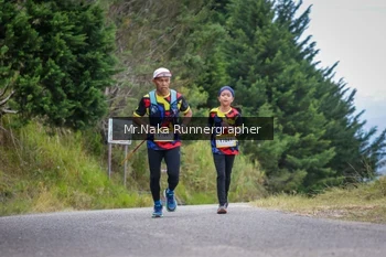 Runner Photo 98378