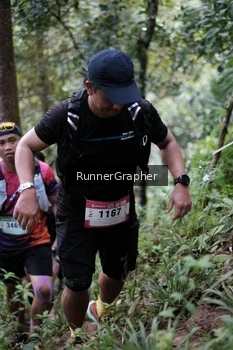 Runner Photo 98458