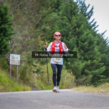 Runner Photo 98480