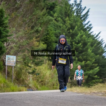 Runner Photo 98698