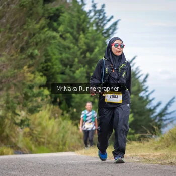 Runner Photo 98705