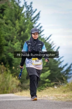 Runner Photo 98962