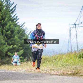 Runner Photo 99033